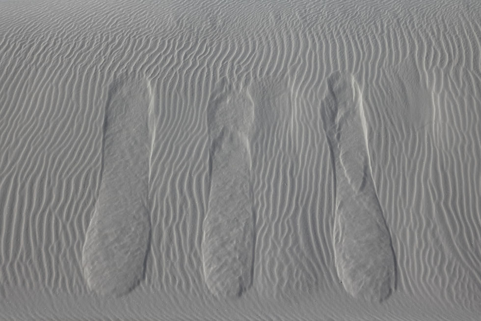 White Sands #42