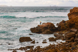 DSC_8198.jpg