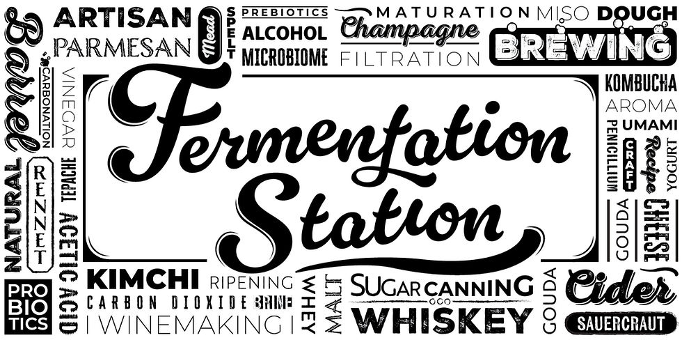 Text reads "Fermentation Station" in bold, surrounded by words like "Artisan," "Brewing," "Cheese," and "Whiskey" in various fonts. Black on white.