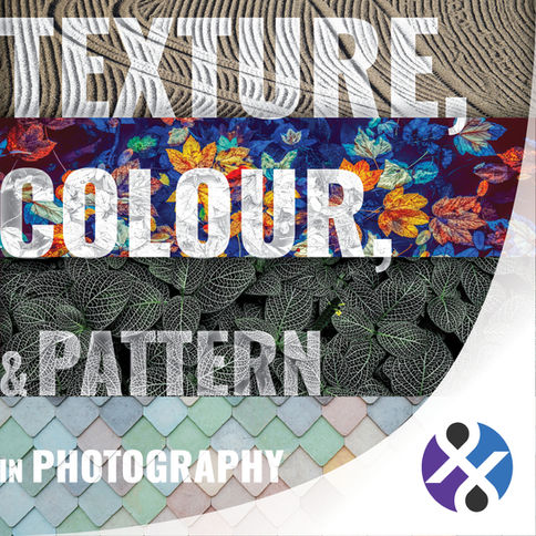 Texture, colour, and pattern in Photography displayed in text overlaying various textures and colours, specifically leaves, water, tile, and sand.