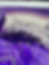 Thumbnail: Mauve Dreams