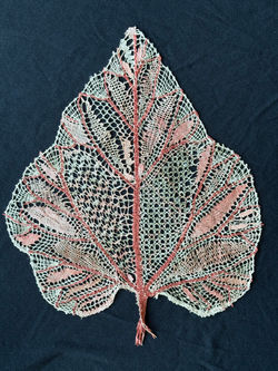 Rhubarb Leaf Variations, detail 1
