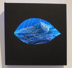 The Unseeing Eye