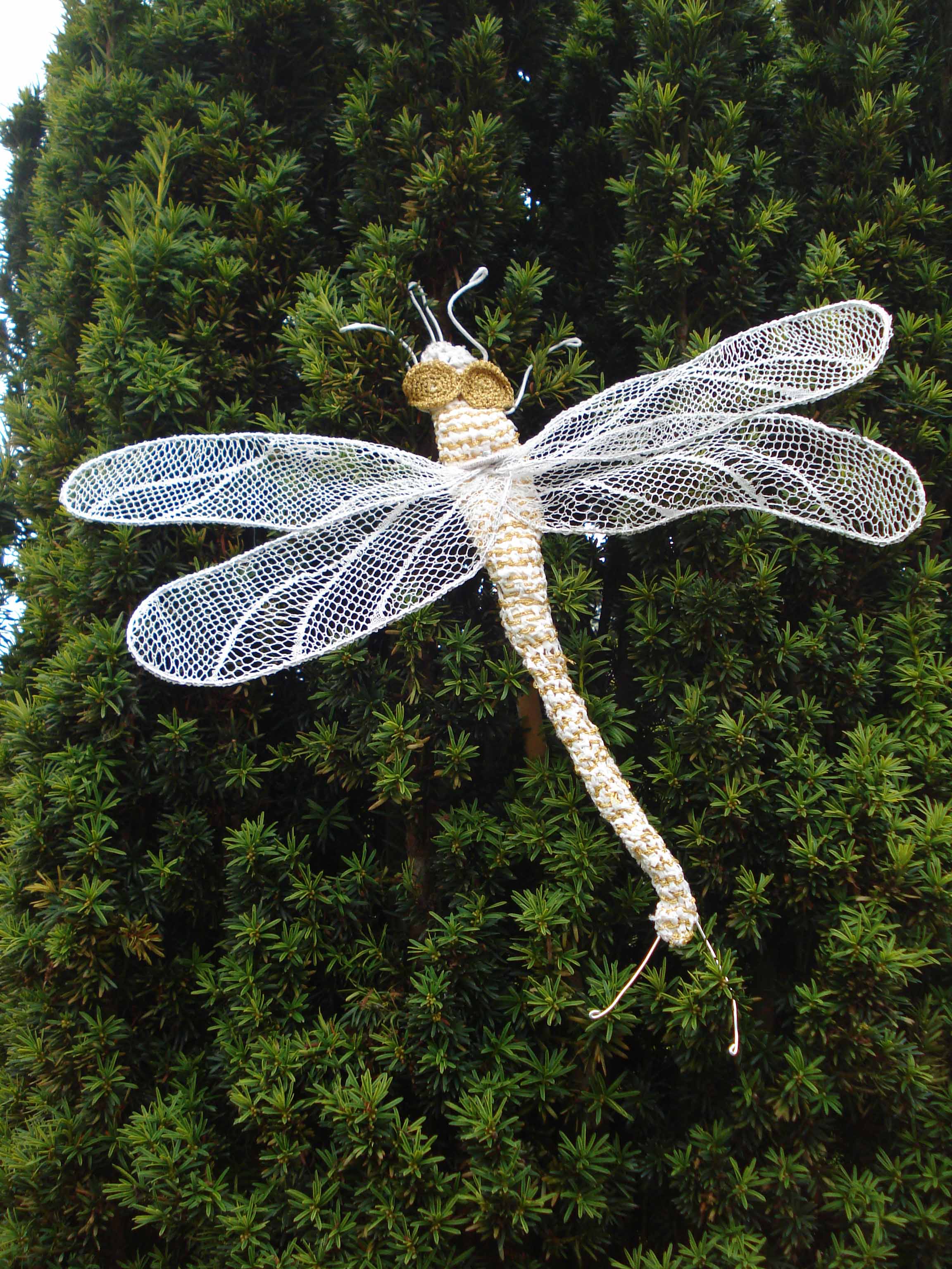 Dragonfly