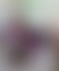 The Power of Disconnecting and Nourishing yourSelf