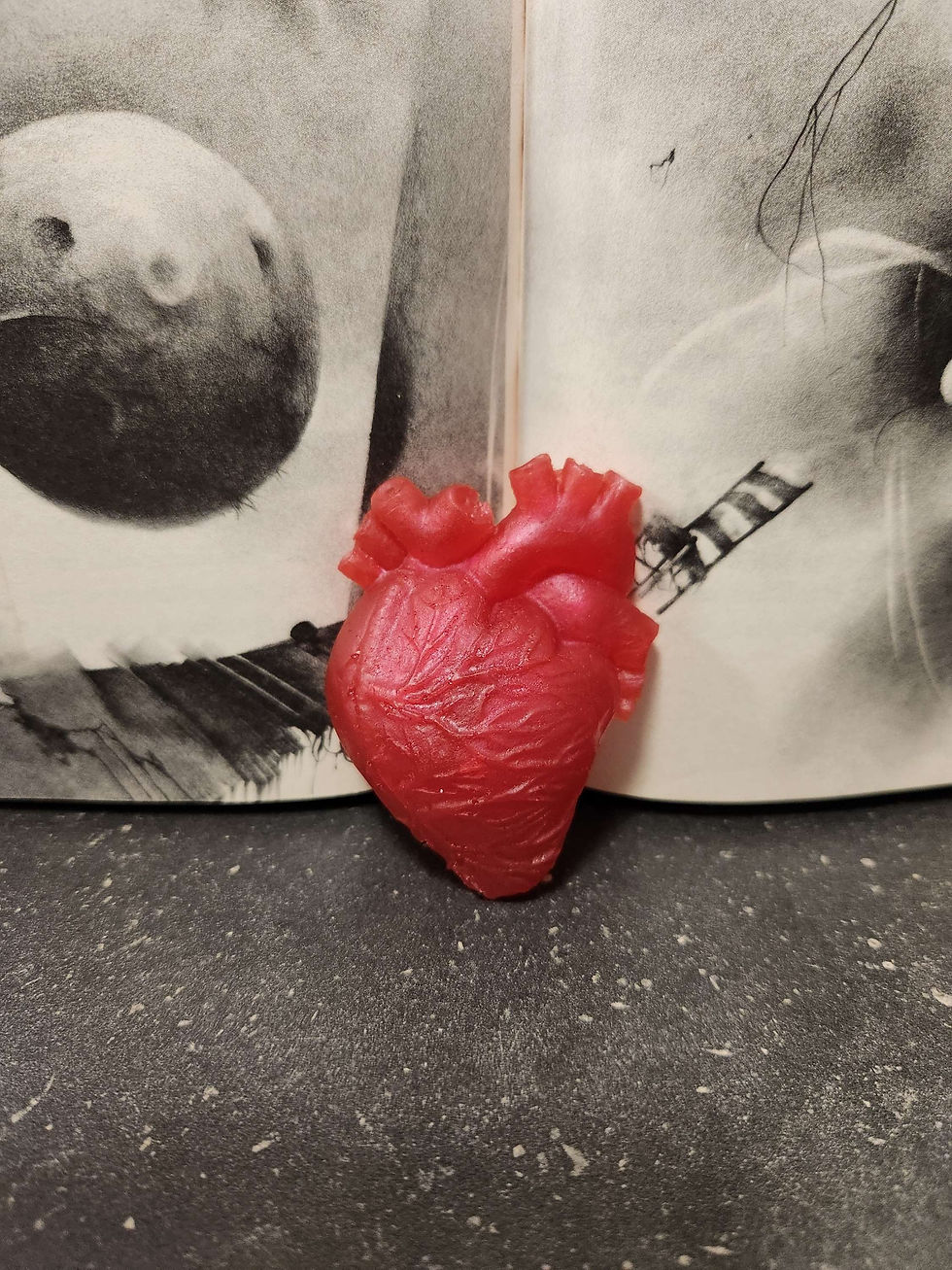 Thumbnail: Anatomical Heart Magnet 