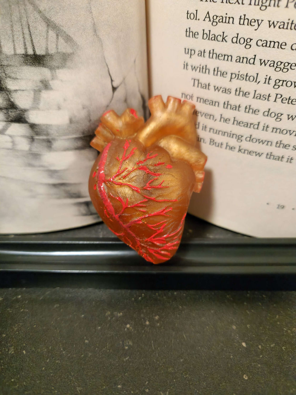 Thumbnail: Anatomical Heart Magnet 