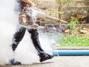 What Happens to Pest Populations After a Tornado or Severe Storm in Oklahoma?