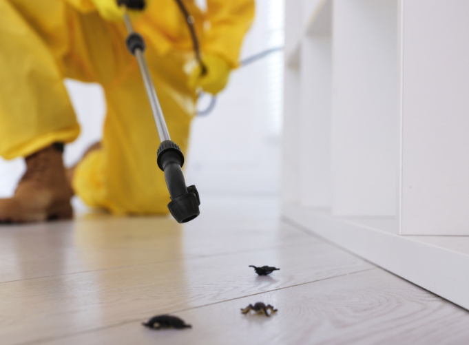 Pest control