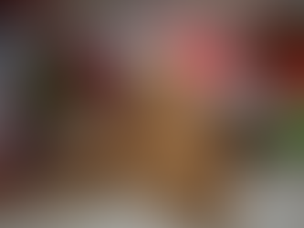 How to Celebrate the Holidays with Your New Puppy: Safety, Comfort, and Bonding Tips