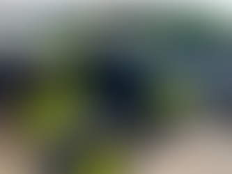 How UTV Custom Audio Enhances Outdoor Adventures