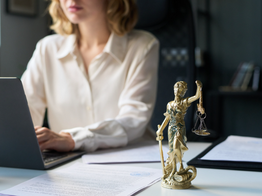 What is a Commercial Litigation Lawyer?