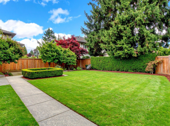 taking care of your lawn