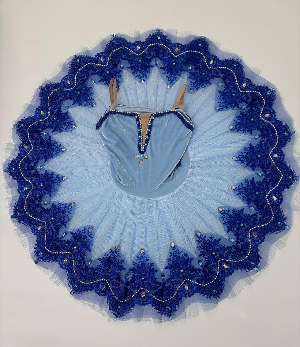 Miniatura: Tutu bandeja azul em veludo