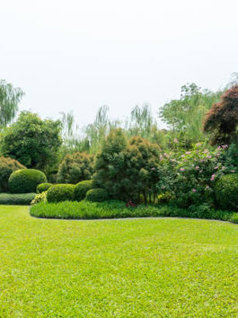 Transform Your Outdoors with Professional Landscape Design Solutions