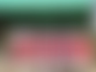 衣装を着た女性達