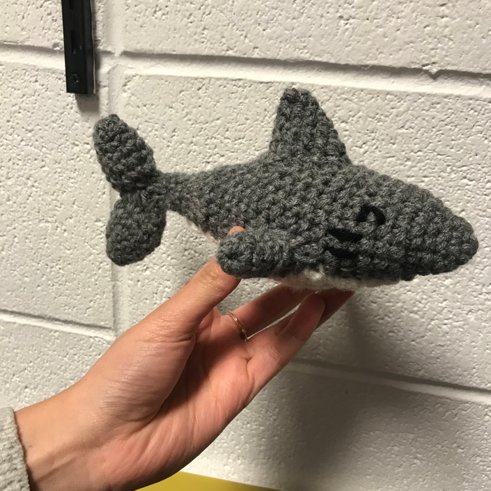 Shark.heic