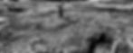 3 - erico_ericohiller_edited_edited.jpg