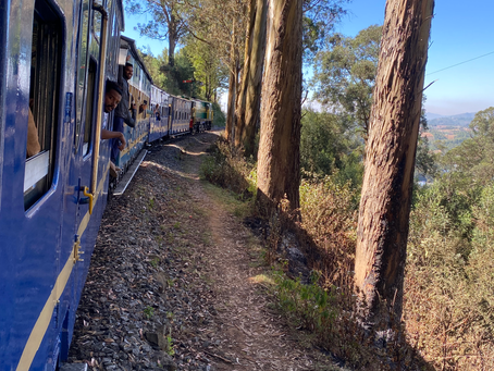 A Kind Encounter in Ooty
