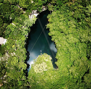 cenote jaguar in the riviera maya mexico 