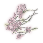 sketch1760398670062_edited.png