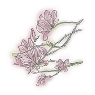 sketch1760398670062_edited.png