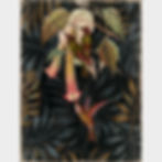 les 3 colibris - Artysse - Papier froissé