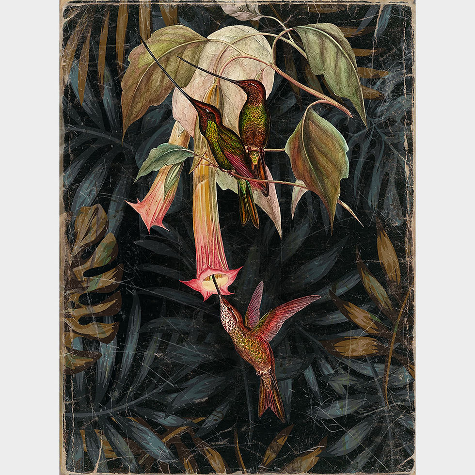 les 3 colibris - Artysse - Papier froissé