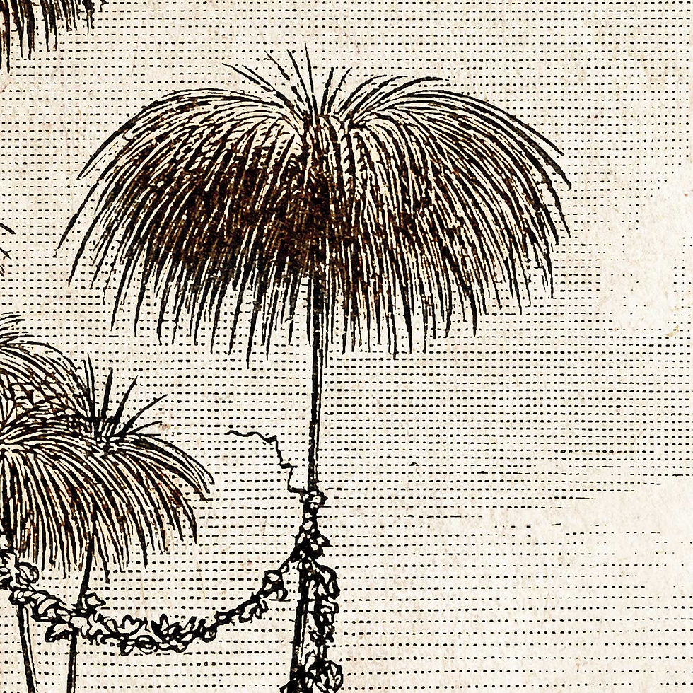 Thumbnail: Lac aux Flamants - Artysse - Papier froissé