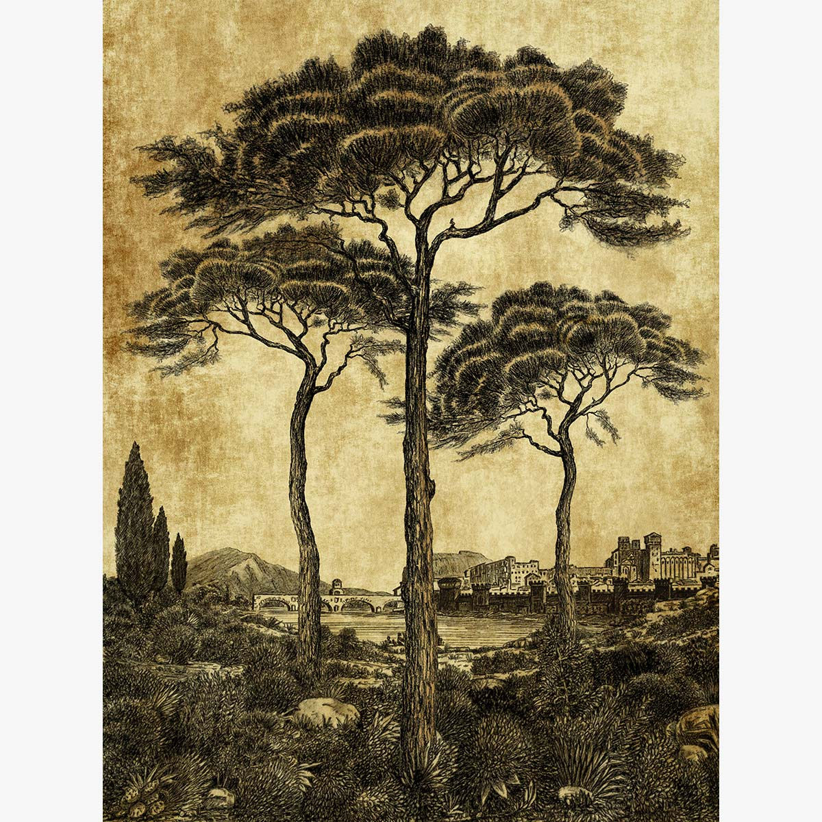 Pins d'Avignon - Artysse - Papier froissé