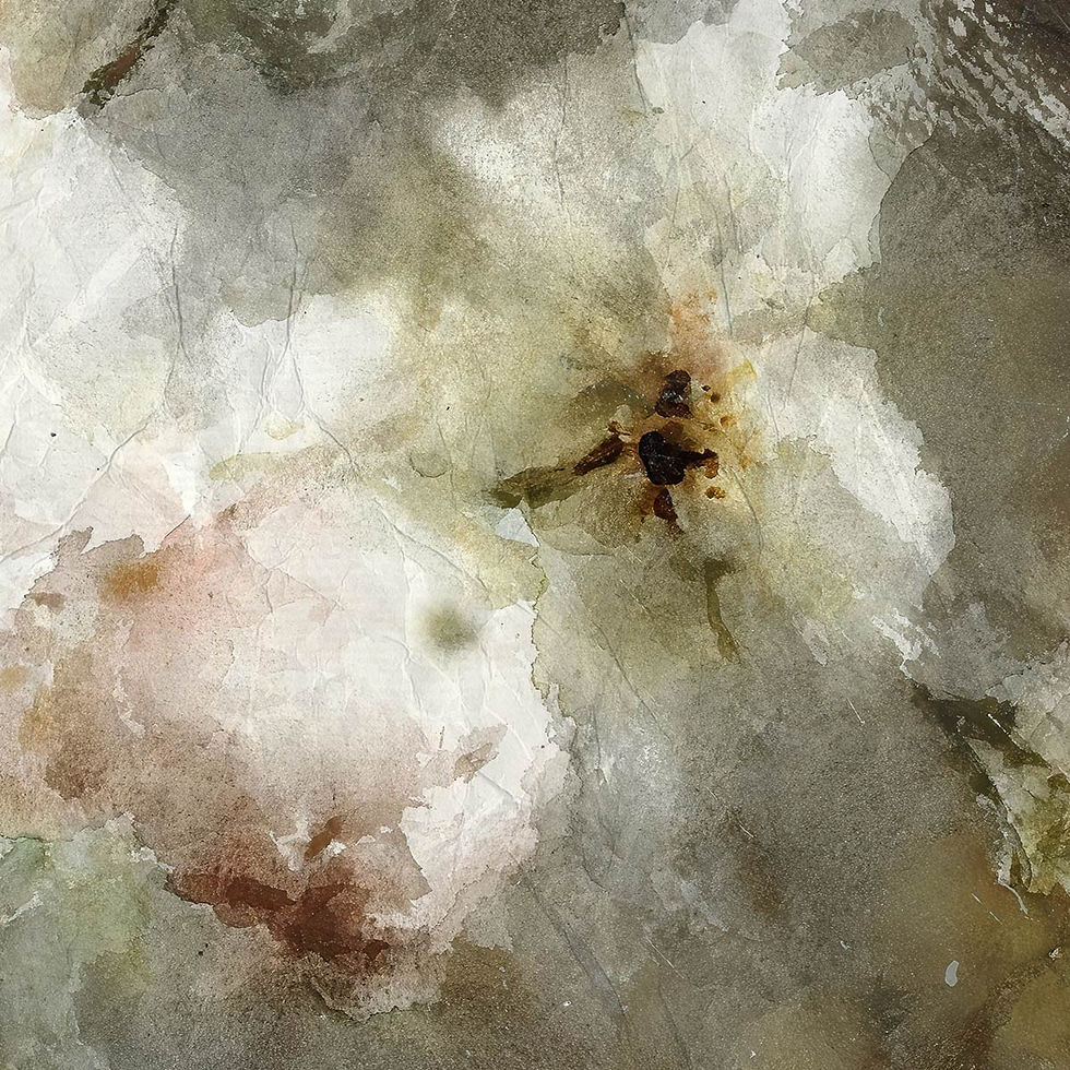 Thumbnail: Roses aquarelle - Papier froissé Artysse