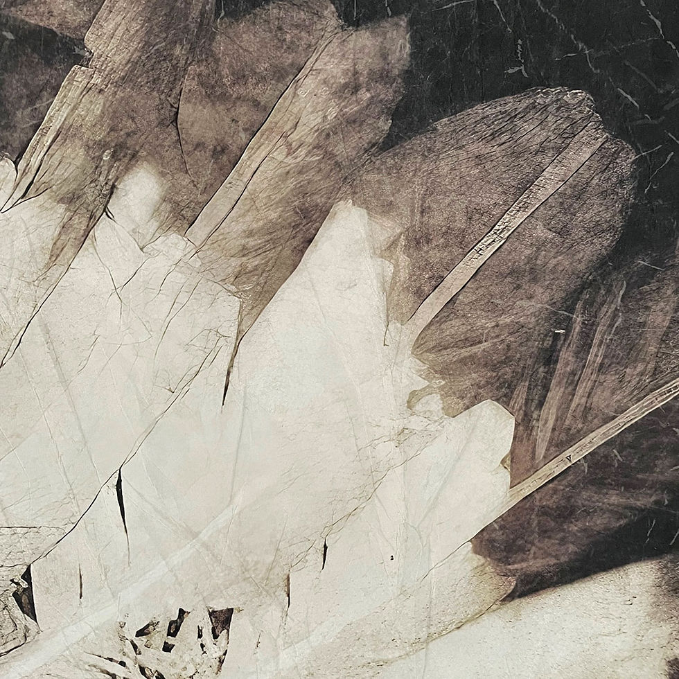 Thumbnail: BlackFoot - Papier froissé plissé Artysse