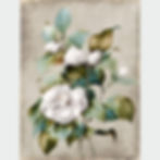 Camélia blanc - Papier froissé Artysse