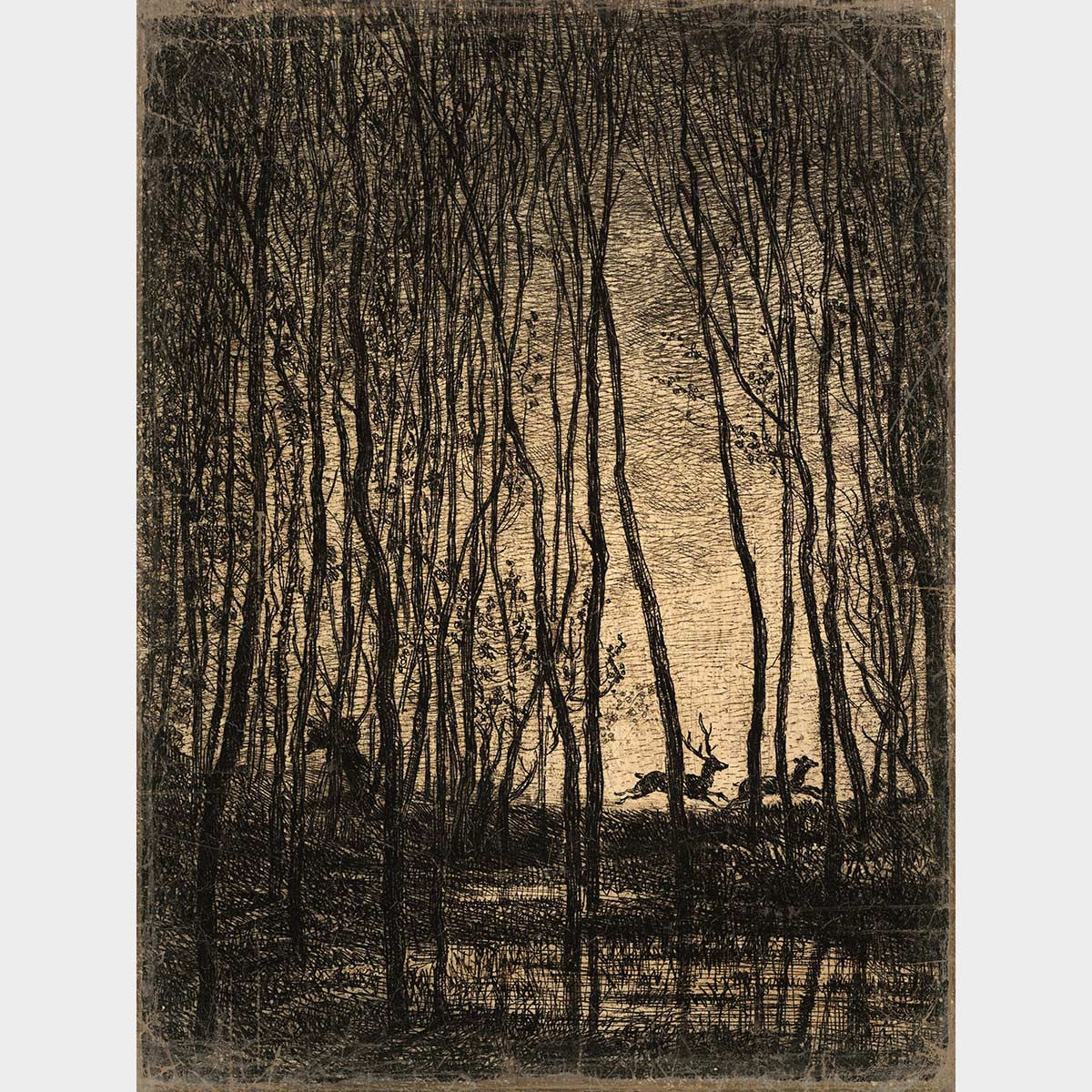 La forêt des cerfs - Artysse - Papier froissé