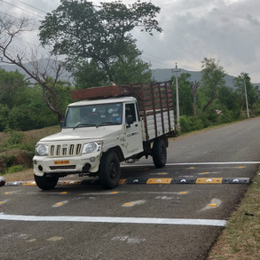 Speed bumps are another way to prevent overspeeding in sensitive animal crossing areas.