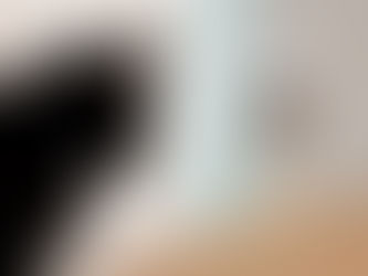 貓咪有地盤意識嗎？