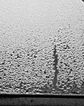 Damp in housing association properties can be very costly to put right, as well as being detrimental to the health of occupants. It is often caused by condensation, which itself is avoidable if the right steps are taken. 

Upkeep Training’s online ‘Damp, condensation & mould’ one-day course teaches housing staff how to recognise factors that can lead to condensation and how to take and take preemptive steps to stop the situation developing into a serious damp problem.