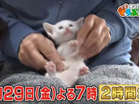 5月29日金曜夜7時,【坂上どうぶつ王国】に阪田代表がまたまた登場！