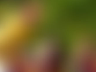 Early-Life Diet and Exercise Impact Later-Life Microbiome