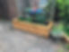 IMG_3478.jpeg