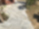 IMG_1587.jpeg