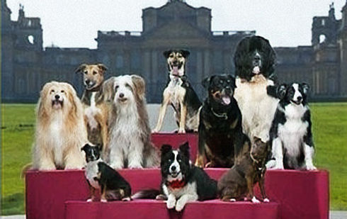 1929920_14412296822_5322_n_edited.jpg