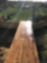 IMG_3936.jpeg