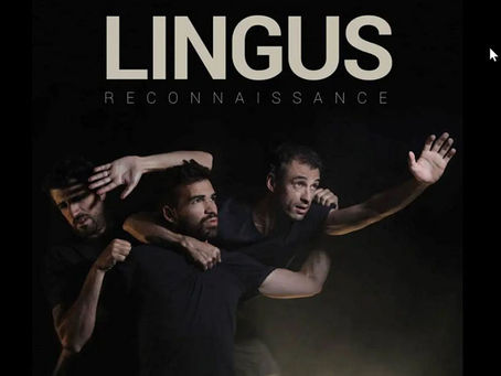 Culture - Premier album du groupe Lingus