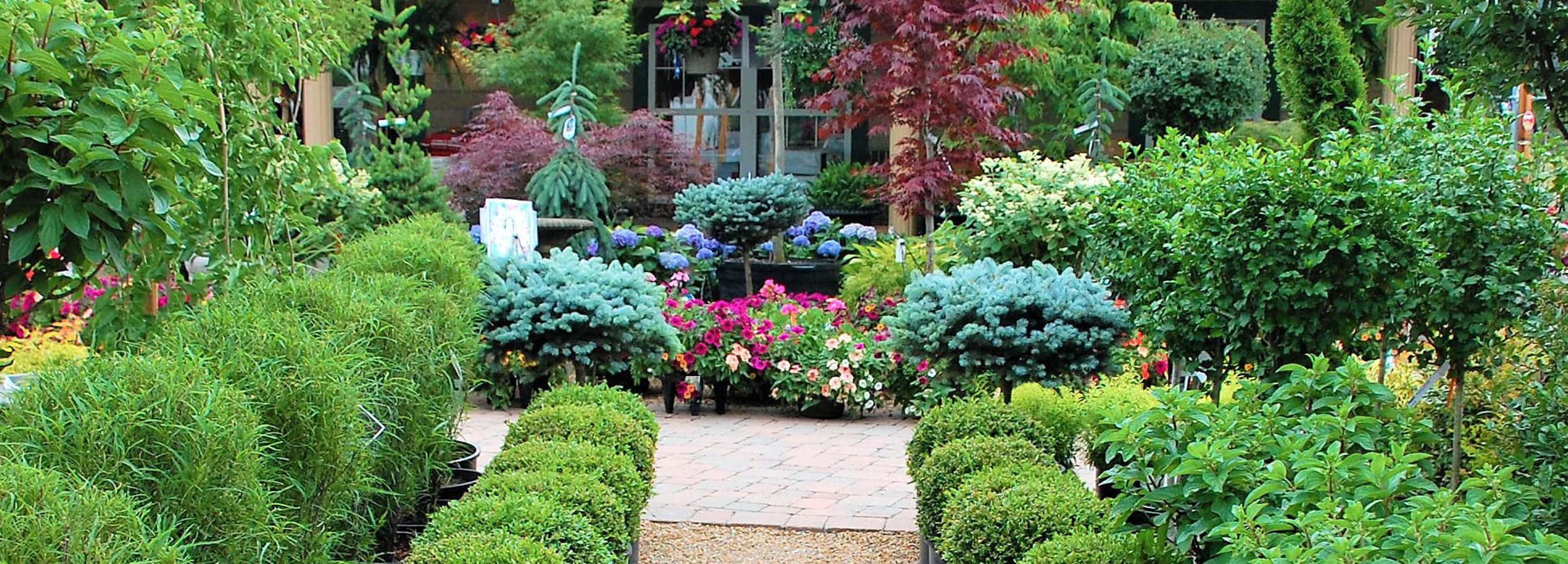 Best Place to Buy Plants in St. Louis Passiglia Nursery & Landscape