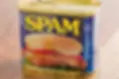Spam Regular