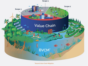 What is the Beyond Value Chain Mitigation (BVCM) by the SBTi?