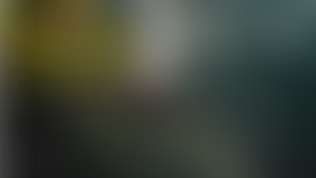 Voluntary Carbon Market 2025: maturity, resilience, and the new private sector leadership