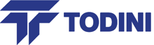 todini