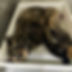 pierre-chatel-innocenti-Lk-nu_hX6ms-unsplash 2.png